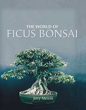 Ficus Bonsai Book