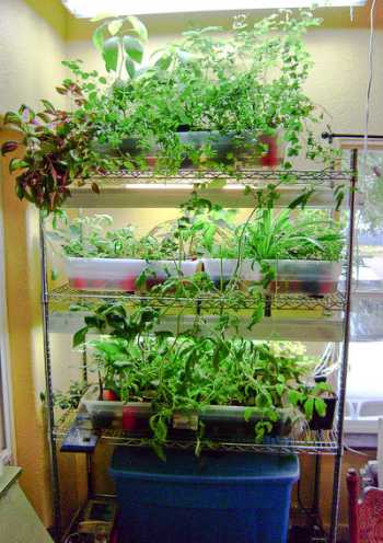 Do It Yourself Hydroponics