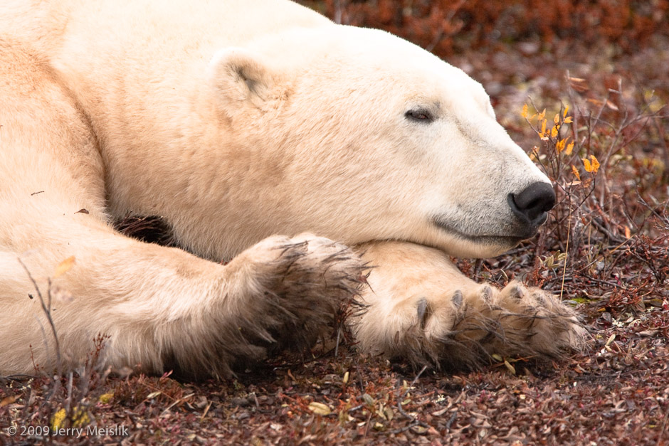 A nice stretch