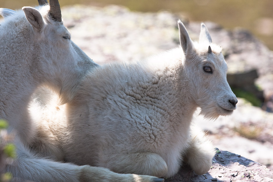 Mom and kid